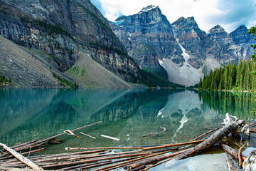 Logs and reflections on Lake Louise