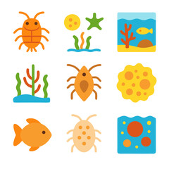 Fototapeta premium Plankton and other sea creatures are depicted in nine icons.