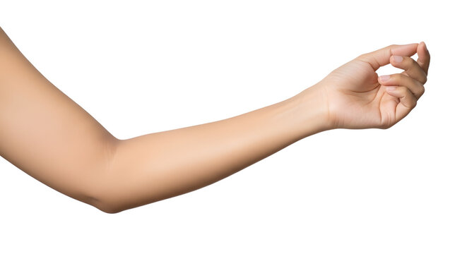 Human Arm with Pinching Hand Isolated