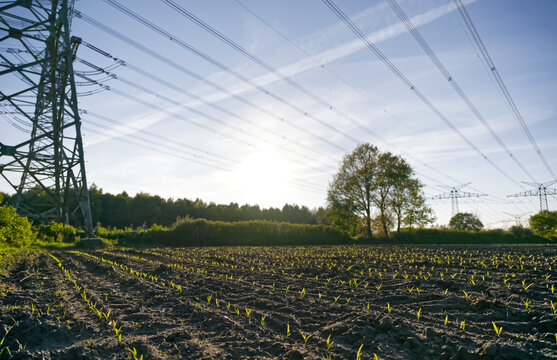 Massive power lines near Jagel near Schleswig in nature under a blue sky with some contrails