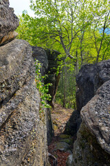 Huge rocks structures geological site in the place of ancient prehistoric ocean trench, nestled within a green forested environment. Rim rocks formation, Western Canada Sedimentary Basin, Alberta