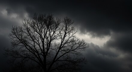 Obraz premium Bare Tree Silhouette Against Dramatic Storm Clouds