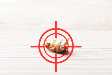 Dead cockroach with red target symbol on white wooden surface, closeup. Pest control