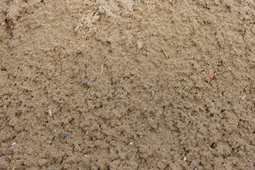 Rough Sandy Soil Texture Background Earth Ground Natural Landscape Photography