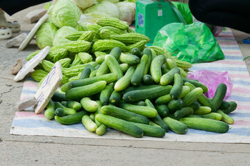 Fresh Cucumbers and Bitter Melons at a Vibrant Farmers Market Organic Produce Abundance Healthy Eating