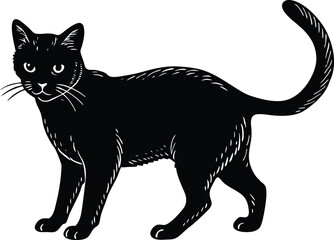 Hand-Drawn Black Cat in Vintage Engraving Style