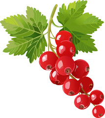 Vibrant red currant berries with lush green leaves