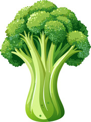 A close-up illustration of a fresh and vibrant broccoli vegetable