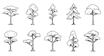 Diverse Tree Lineup: A series of detailed line drawings of diverse tree species, capturing a variety of shapes and forms, perfect for illustrating botanical diversity.