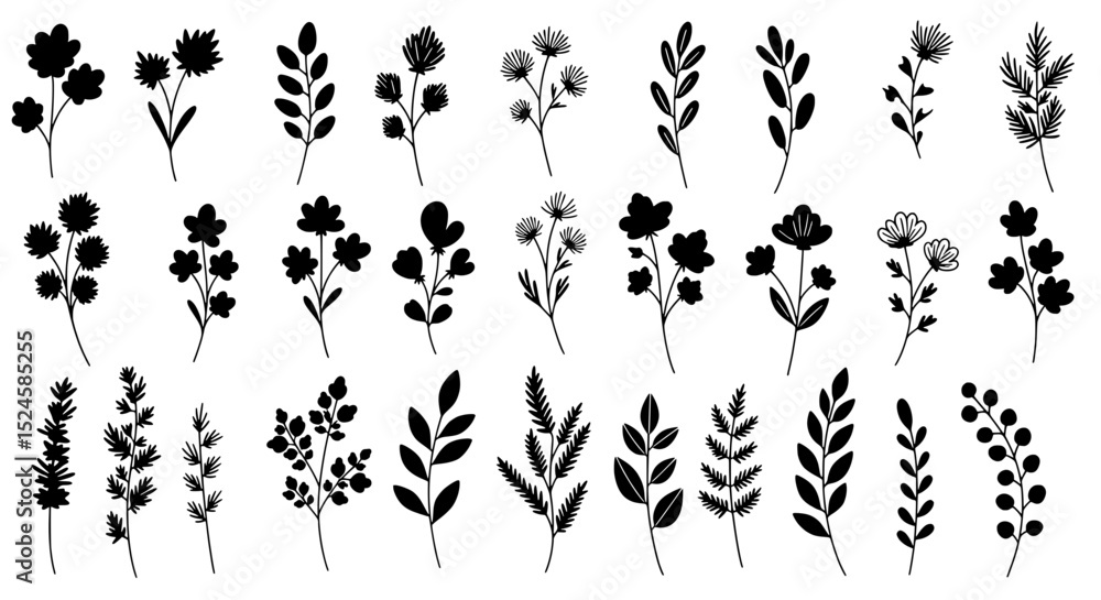 Poster elegant botanical collection: a sophisticated collection of delicate botanical illustrations, render