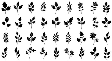 Botanical Silhouette Collection: A stunning collection of botanical silhouettes, offering a diverse range of leaves and foliage, perfect for adding a touch of natural elegance to any design.