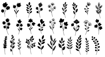 Elegant Botanical Collection: A sophisticated collection of delicate botanical illustrations, rendered in monochrome, offering versatile design elements for various creative projects. 