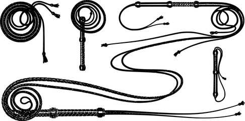 Illustration of a black bullwhip on a white background