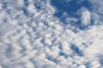 6月のひつじ雲