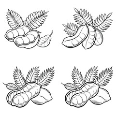 Tamarind fruit outline vector illustration isolated on white background.