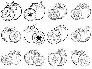 Persimmon fruit outline vector illustration isolated on white background.