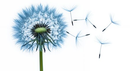 A Breathtaking Dandelion Clock with Seeds Dispersing in the Wind