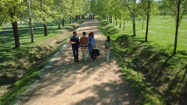 Aerial view of family walking with dog and picnic baskets in park