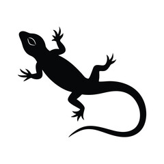 Naklejka premium chameleon on a white background