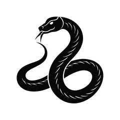 Fototapeta premium black and white snake