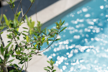 プール付きのお庭｜オシャレな庭｜エクステリア｜外構｜新築戸建て住宅	