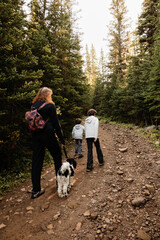 Woman and children hiking in the woods with their dog