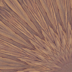 Wood Laminate Floor texture. Staircase with laminate floor Luxurious Style