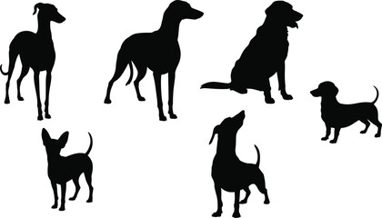 Silhouette of various dog breeds in different poses, standing and sitting, domestic pet illustration, isolated vector, black dog shapes flat vector illustration
