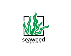 creative seaweed logo, abstract green seaweed in the frame logo design template