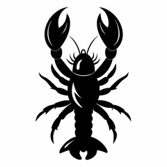 scorpion vector illustration