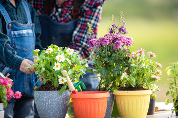 Close up hands kid daughter helping mother water and sapling  the plant tree outdoors in nature spring for reduce global warming growth feature and take care nature earth.  Environment Concept
