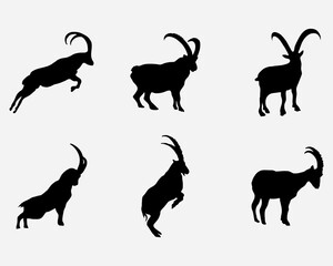ibex silhouette vector illustration collection .mountain goat long horn black shadow pictogram icon isolated on background
