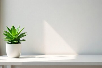 Clean, minimalist workspace with a single succulent plant on a simple desk, focusing on simplicity and clarity , neutral, design