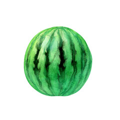 スイカ　果物　水彩 イラスト