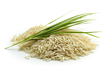Organic Thai jasmine rice isolated on white background