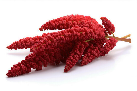 Sumac on white background