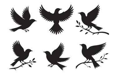 Fototapeta premium Elegant Black Bird Silhouettes Set: Flying, Perched, and Nature Vector Icons
