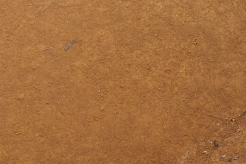 An overhead view of reddishbrown granular soil ground surface with scattered leaf fragments
