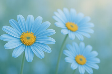 Fototapeta premium Vibrant blue daisies blooming in soft focus garden
