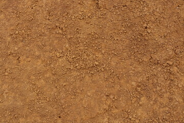 Brown dirt ground is covered in small granular clods of earth forming an earthy surface