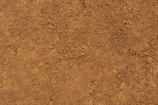 Brown dirt ground is covered in small granular clods of earth forming an earthy surface