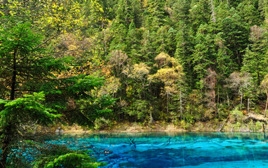  Reflections of the colored trees in the lake in Jiuzhaigou , Sichuan province of China