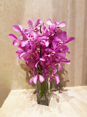 Beautiful flowers composition. Bouquet of pink orchids in vase on  table, pink orchid flower on white background. Concept Valentines Day