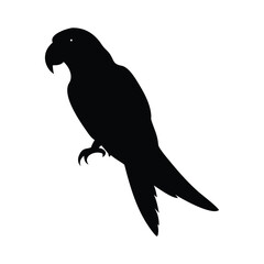 Parrot  Silhouette Vector Design White Background.