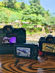Three digital cameras display close-up macro shots of insects on their screens, placed on a wooden...