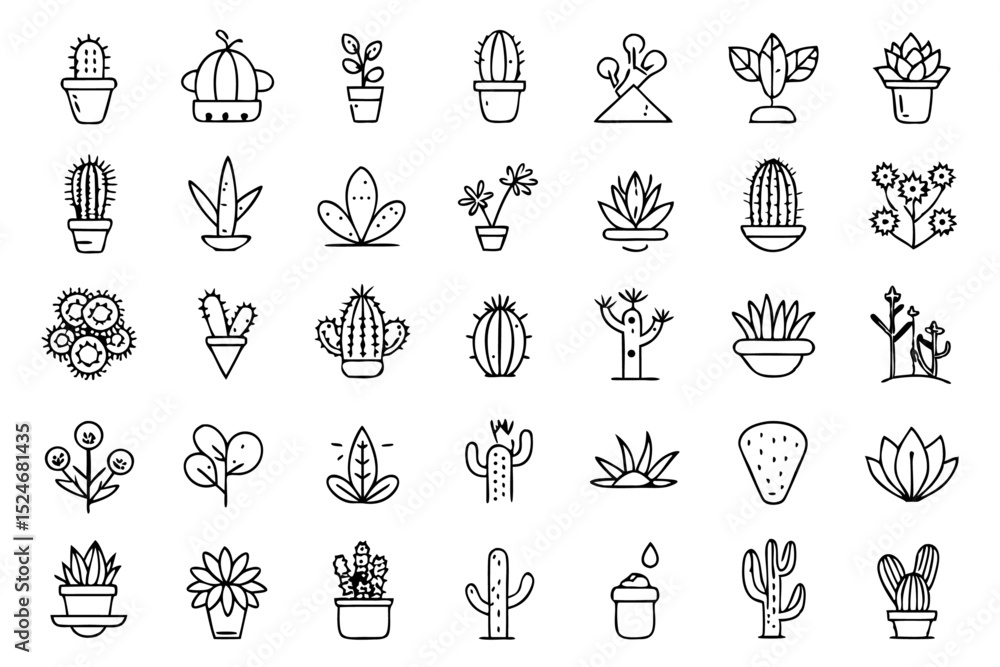 Poster collection of line icons depicting cactus aloe vera and botany elements isolated on transparent back