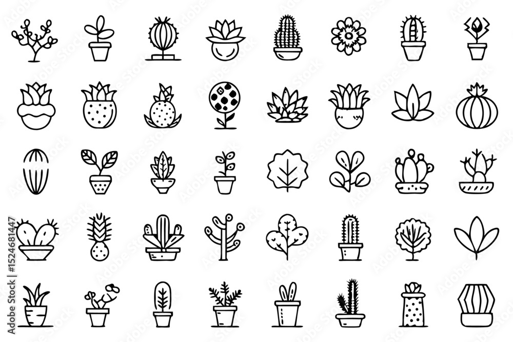 Poster collection of line icons depicting cactus aloe vera and botany elements isolated on transparent back