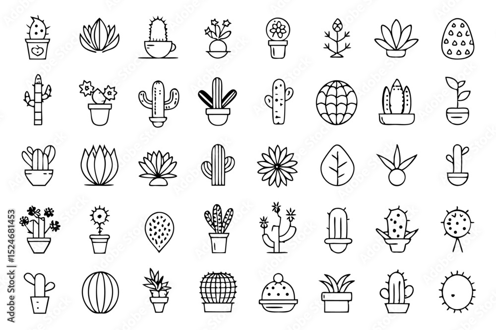 Poster collection of line icons depicting cactus aloe vera and botany elements isolated on transparent back
