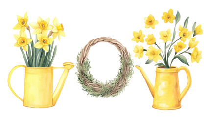  Watercolor set with daffodils, wicker basket, yellow watering can on transparent background