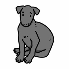 a dog sitting on the ground with its paws crossed